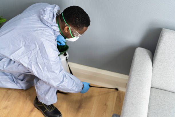 Best Real Estate Pest Inspections  in Grayson Vley, AL